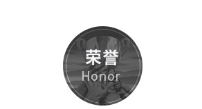 盐城pg电子游戏app新型墙体材料有限公司官网，非烧结发泡陶瓷保温板，碳硅无机保温板，石墨改性水泥基保温板，发泡水泥板，水泥发泡板，复合水泥发泡板